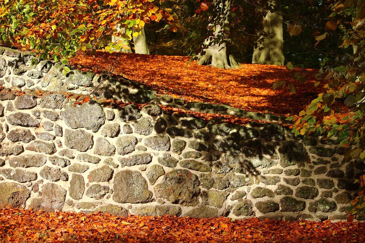 Création/Réparation de murs